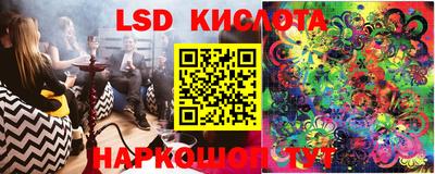 PSILOCYBIN Бугуруслан
