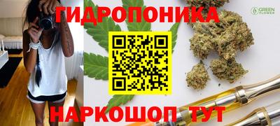 PSILOCYBIN Бугуруслан