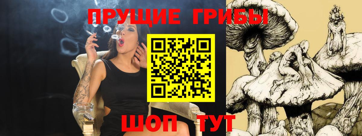 Галлюциногенные грибы GOLDEN TEACHER  Вход с VPN  Тимашёвск 